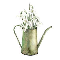 Snowdrop Watering Can Notelets