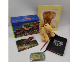 Tyrannosaurus Rex  Adoption Package