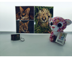 Serval Adoption Package