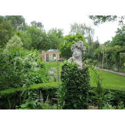 Coffee with a Curator: William Morris's Kelmscott House Garden