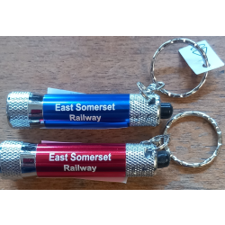 Torch Keyrings