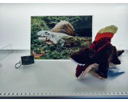 Dimetrodon Adoption Package