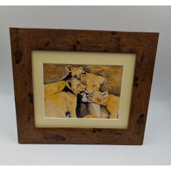 A brush with Africa Lioness & Cubs Framed