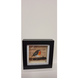 Camlake Canvas hand painted Robin frame