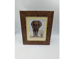 A brush with Africa Elephant (1E) Framed