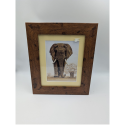 A brush with Africa Elephant (1E) Framed