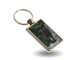 Key Ring - Maya