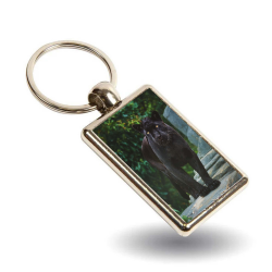 Key Ring - Maya