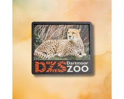 3D Cheetah Wooden Magnet