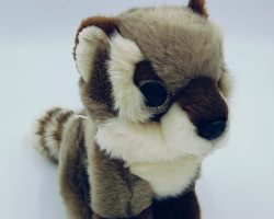 Petjes Glitter Eyes Racoon 20cm