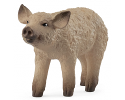 Mangalica Piglet