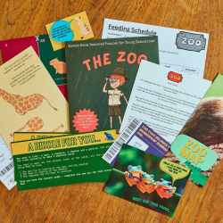 Escape Room in An Envelope: The Zoo