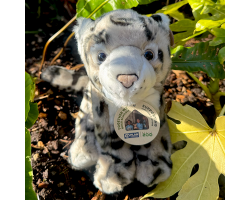 Plan Snow Leopard (L)