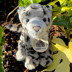 Plan Snow Leopard (L)