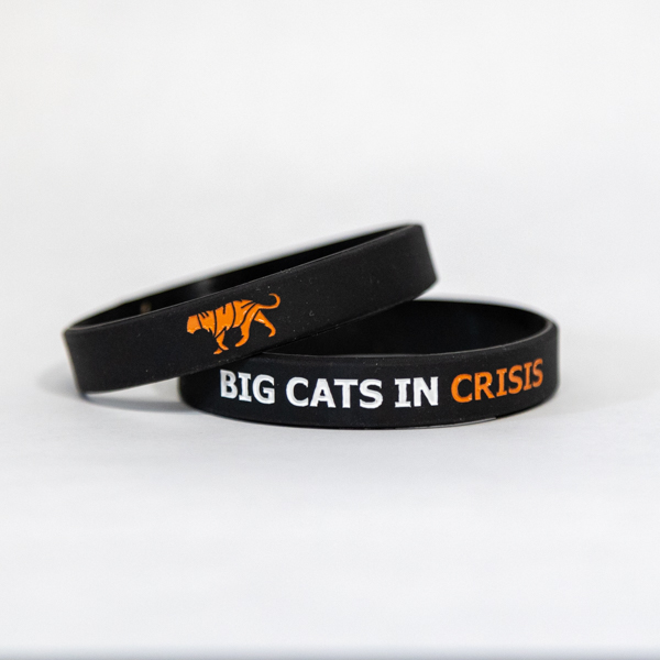 Changes Thunder Cat Black Wristband フィギュア おもちゃ 人形 How To Safely Remove A Festival Wristband (2018)