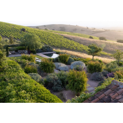 When you make your purchase, you will be emailed the viewing link and password within an hour.