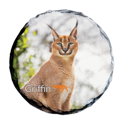 Slate Coaster Griffin