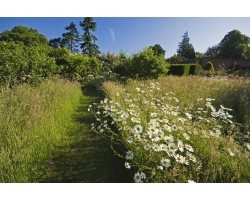 Watch | Can Nature Friendly Gardens Be Beautiful?  | 2.12.25