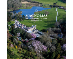Magnolias at Caerhays Castle