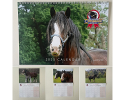 2025 Official Cotebrook Calendar