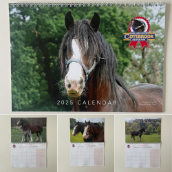 2025 Official Cotebrook Calendar