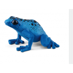 Blue Poison Dart Frog