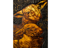 Lambs by Danish Bashir