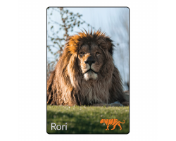 Magnet - Rori