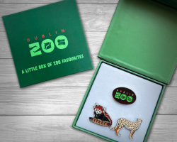 3 Pin Set in Presentation Box