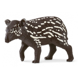 Tapir Baby