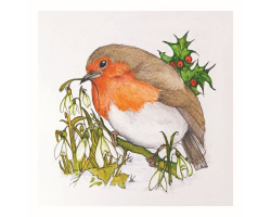 'Robin' Christmas Cards