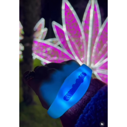 Interactive Wristband