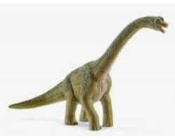Brachiosaurus