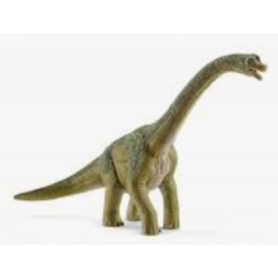 Brachiosaurus