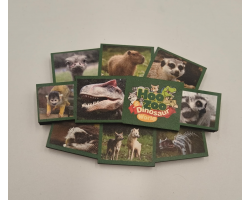 Hoo Zoo & Dinosaur World Wooden Magnet