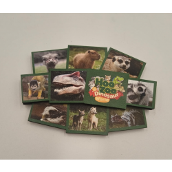 Hoo Zoo & Dinosaur World Wooden Magnet