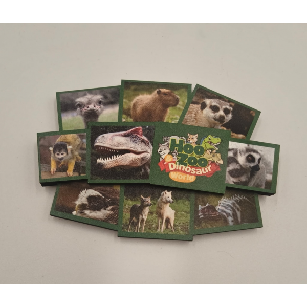 Hoo Zoo & Dinosaur World Wooden Magnet