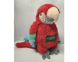 Wingham Wildlife Park Parrot