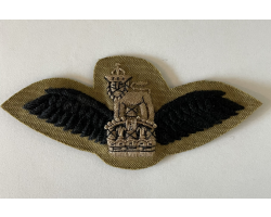 Subdued Pilot Wings