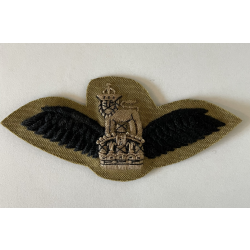 Subdued Pilot Wings