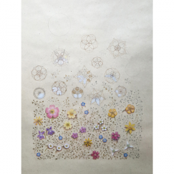 'The centre… is the zone of absolute reality.' Mircea Eliade. Geomtery of Flowers and Miniature Painting by Laura Taylor