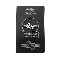 Anniversary Pin Badge