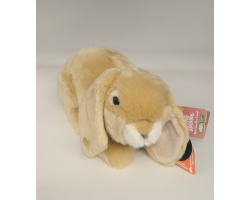 light brown lop eared rabbit