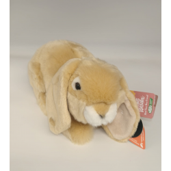 light brown lop eared rabbit