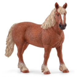 Belgian Draft Horse