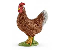 Hen