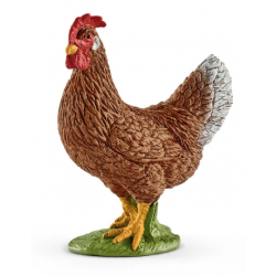 Hen