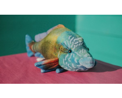 Zappi Napoleon Wrasse - Soft Toy