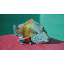 Zappi Napoleon Wrasse - Soft Toy