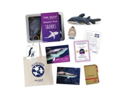 Shark Adoption Pack